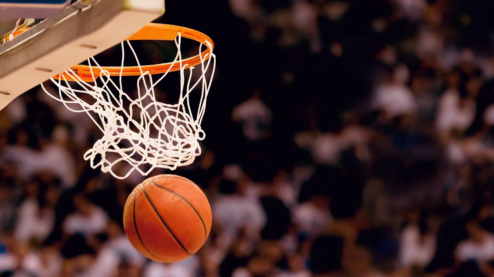 德约科维奇英超出牌纪录曝光，跨界足球情缘引热议|鱼乐达人